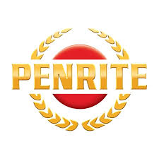 Penrite Radiator Flush 375ml - ADRF375 - SS Racetech Rods & Customs