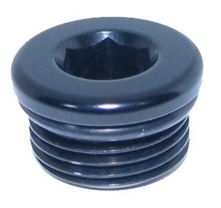 814-04-BLK -4 in hex O-ring port plug