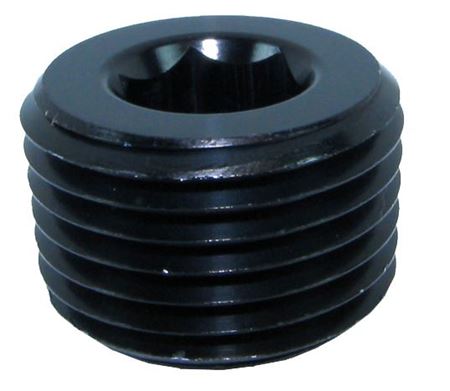 932-01-BLK 1/16_NPT In hex plug