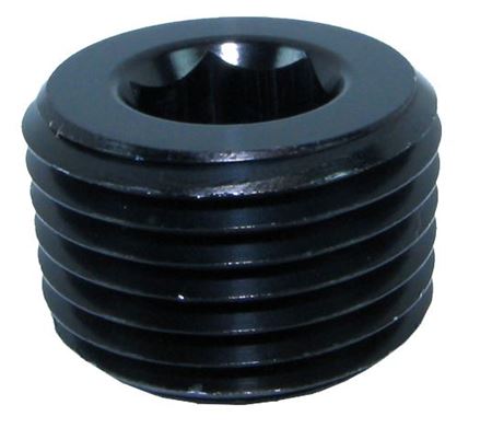 932 - 01 - BLK 1/16_NPT In hex plug - Race Ready Gear