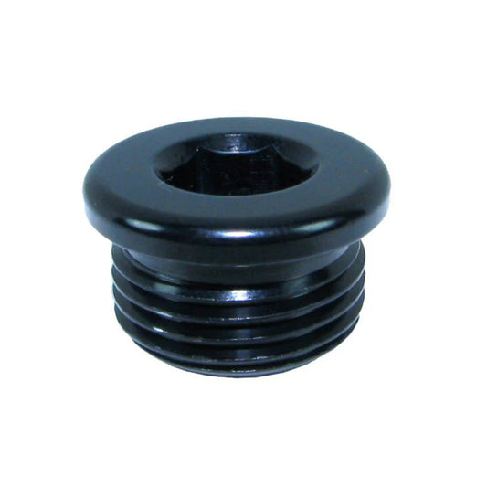 814-M10-2-BLK M10 x 1.25 PLUG, WASHER SEAL