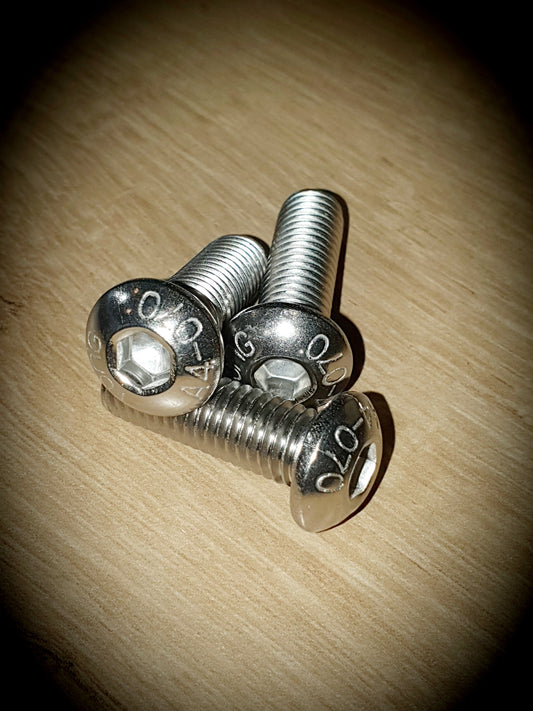 Button head screw s/s  M10 X 30