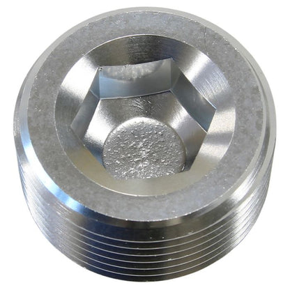 Aeroflow NPT Plug 3/4" Stainless Steel 316 Grade Hex Head Pipe Fitting - AF932-12S by SS Racetech Rods & Customs