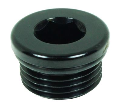 814-12-BLK -12 in hex o-ring port plug